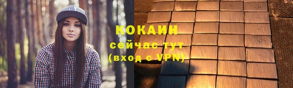 спайс Богданович