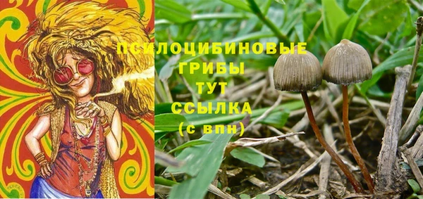 гидропоника Богородицк
