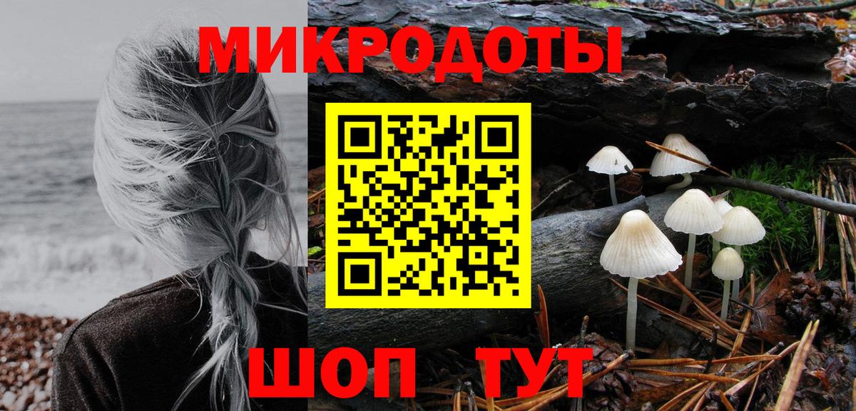 Волжск  Псилоцибиновые грибы Psilocybe  Вход с VPN 